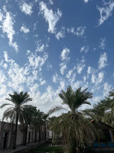تصویر 6 - سوییت طالبی (۱۰۵) در  آبادان