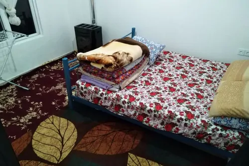 تصویر 5 - ویلا دربست حیاط دار در  گیسوم
