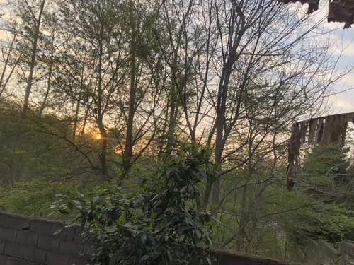 تصویر 11 - ویلا جنگلی غلامی در چمستان