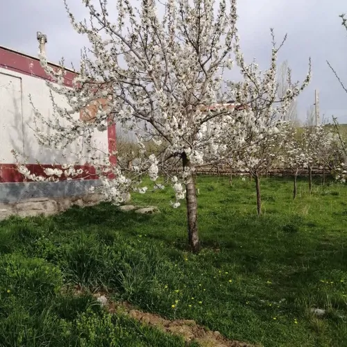 تصویر 16 - ویلا  دشت سبلان  در  اردبیل
