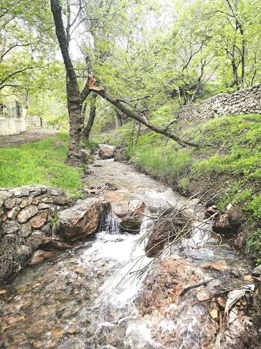 تصویر 22 - ویلا استخردار آبسرد زرچشمه در  کردان