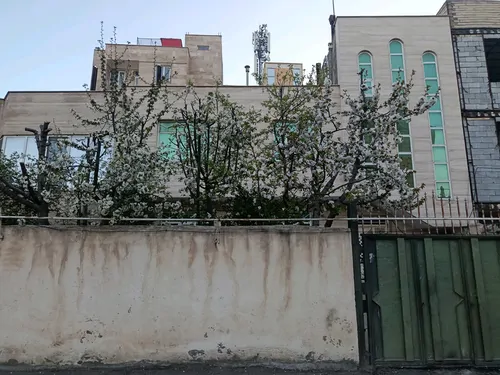 تصویر 4 - ویلا خونه خیلی تمیز و برای آدم های وسواس هست و این خونه خیلی خیلی تمیزه در سرعین