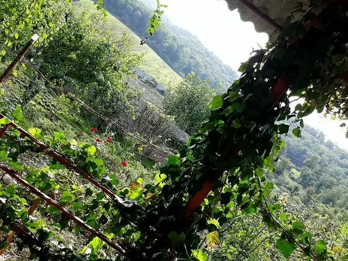 تصویر 4 - ویلا رضایی در علی آباد کتول
