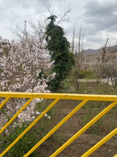تصویر 5 - خانه سوئیت در  قمصر