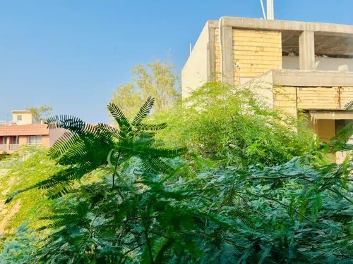 تصویر 12 - آپارتمان مبله سحر در  کیش
