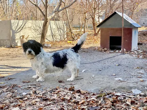 تصویر 12 - ویلا حبیب زاده  در  اردبیل