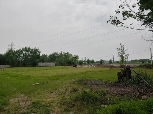 تصویر 5 - ویلا ویلای خانه و محوطه احمدی  در  رشت