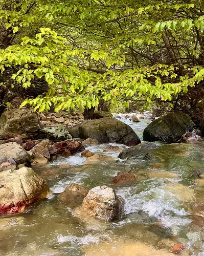 تصویر 20 - ویلا جنگلی در ماسال