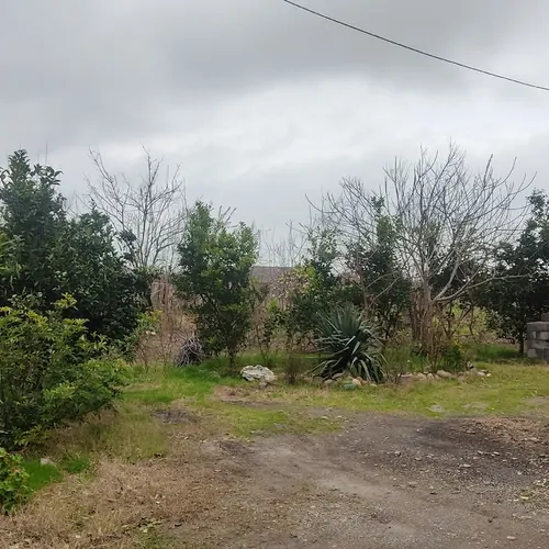 تصویر 2 - سوییت سوئیت روستایی در لیسار