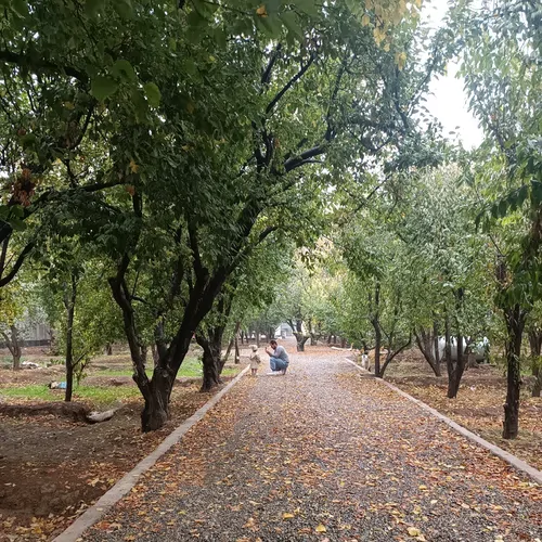 تصویر 2 - روستایی و عشایری باغ ویلا در شهریار