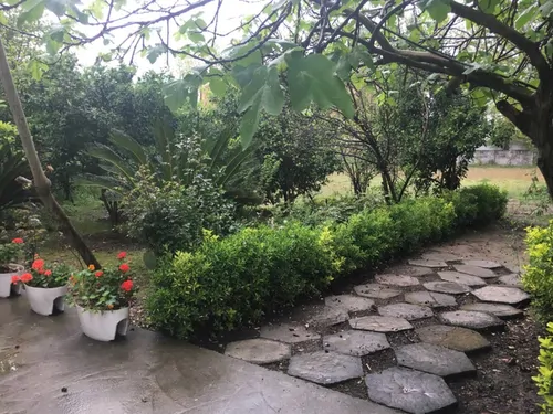 تصویر 24 - ویلا  باغ نیکوکار در  چالوس