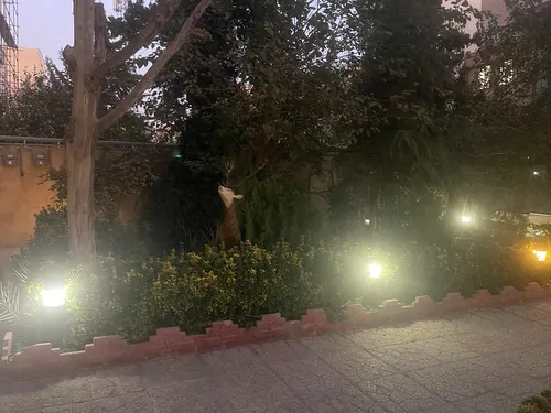 تصویر 14 - آپارتمان مبله مانی با فوتبال دستی در  فردیس
