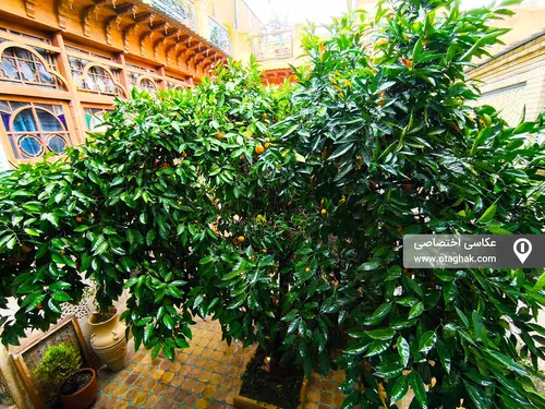 تصویر 15 - هتل سنتی خانه والاد (اتاق خان عمو) در  شیراز