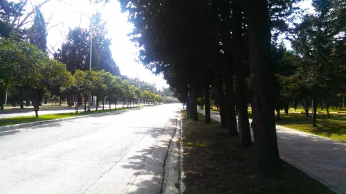 تصویر 20 - ویلا ساحلی صدقی در  دریاکنار