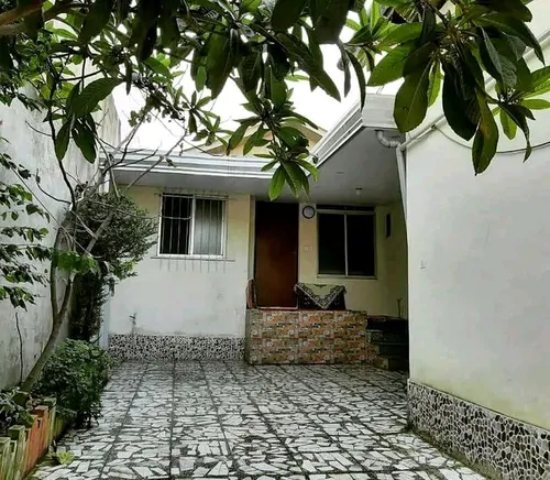 ونوشه