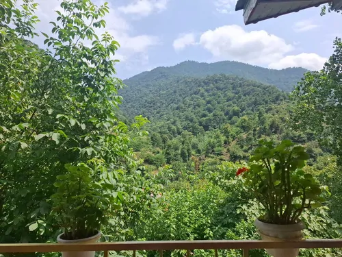 تصویر 10 - کلبه جنگلی دنج در  ماسال