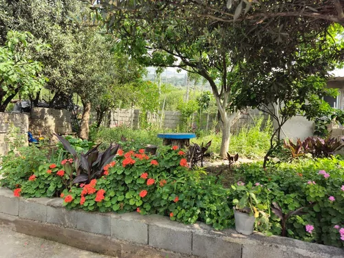 تصویر 11 - سوییت ویلایی عمو ایرج (2) در  رودبار