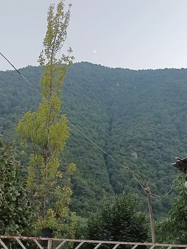 تصویر 2 - روستایی و عشایری اقامتگاه مه و جنگل در سه هزار شهسوار 
