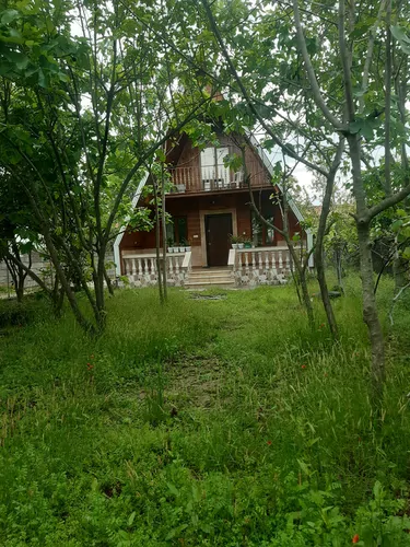 سوئیسی زهرا
