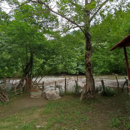 تصویر 19 - کلبه چوبی شمعدونی (لب رودخانه) در  ماسال