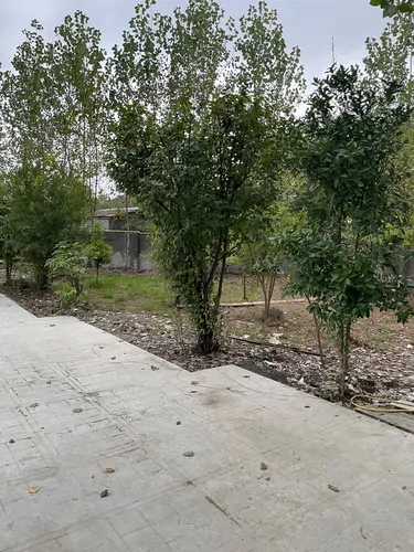 تصویر 16 - ویلا محمودی در  شفت