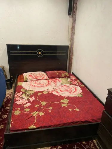 تصویر 8 - سوییت ویلایی استخردار آبسرد سرای سلطانی در  بوشهر