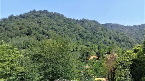 تصویر 2 - ویلا قلعه رودخان 5136 (۱خوابه) در قلعه‌رودخان 