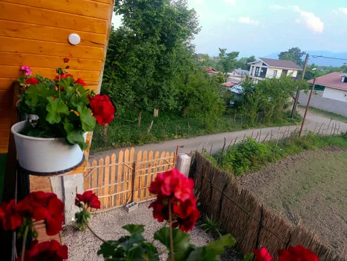 تصویر 32 - کلبه چوبی الین در  ماسال