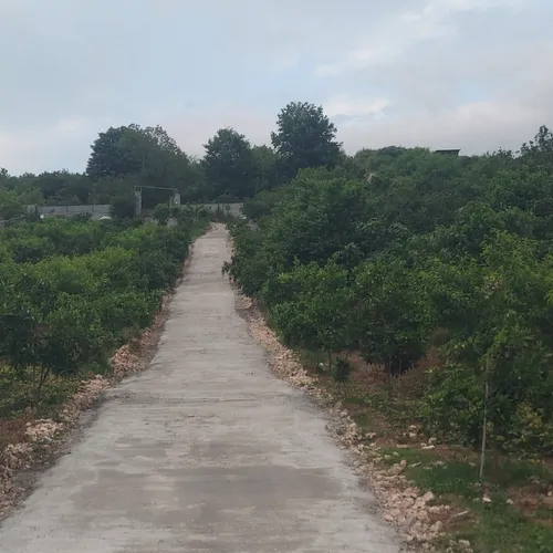 تصویر 13 - کلبه چوبی میلا در  قائمشهر