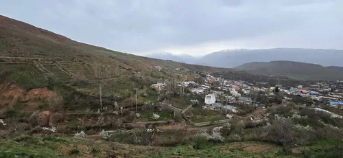 تصویر 9 - ویلا  یاس  در  معلم کلایه