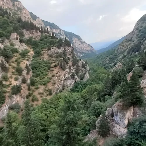 تصویر 5 - سوییت دل جنگل در  رستم آباد
