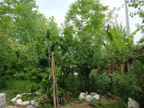 تصویر 12 - سوییت  ویلایی علیدوست در  سراوان