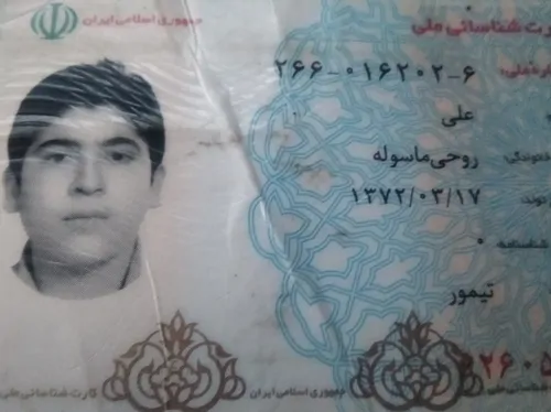 تصویر 3 - آپارتمان اپارتمان مبله در فومن