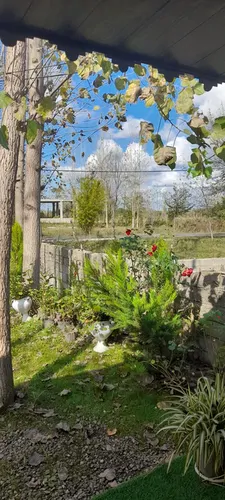 تصویر 4 - کلبه باغ صنوبر در ماسال