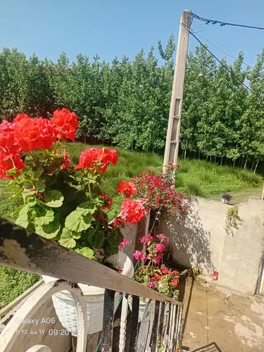 تصویر 2 - ویلا اقامتگاه ویلایی با بهترین میزبانی ویوی عالی دارد  در فومن