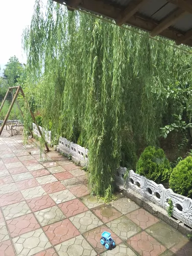 تصویر 5 - ویلا روستایی و دلباز  در  فومن