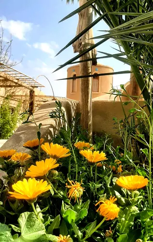 تصویر 8 - اقامتگاه بوم‌گردی رویای کویر(کرسی) در  سرخه