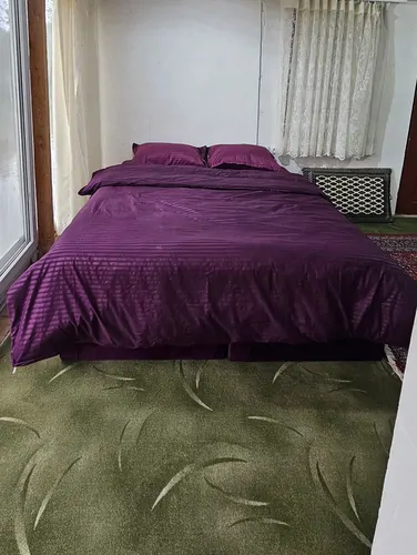 تصویر 5 - کلبه آب وسط دریاچه در  رشت