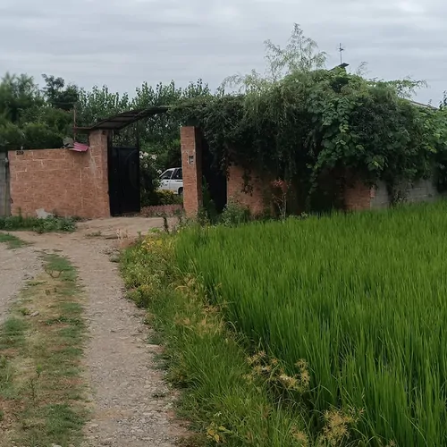 تصویر 2 - ویلا باغ بهشت در رشت