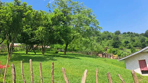 تصویر 13 - ویلا مانیسا در ماسال