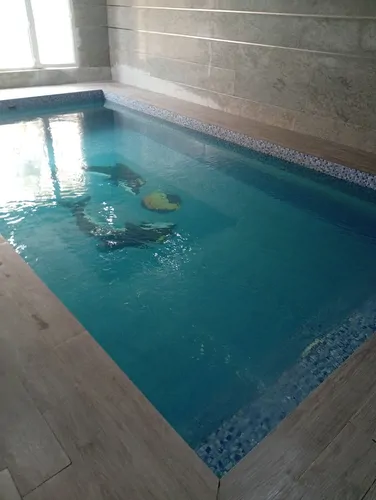 تصویر 19 - ویلا استخردار آبگرم رز در  ملارد 