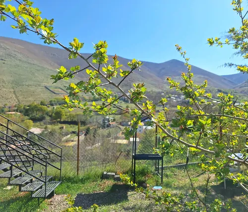 تصویر 22 - کلبه سوئیسی ولونا تریبلکس در  کندلوس