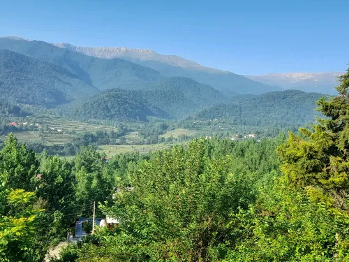 تصویر 24 - ویلا شمال سرسبز در سوادکوه