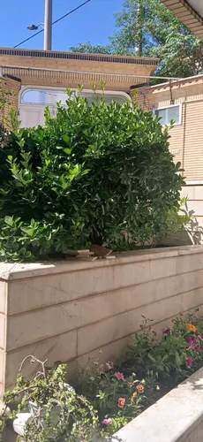 تصویر 21 - آپارتمان مبله فواد در  کاشان