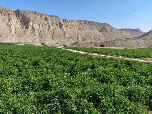 تصویر 7 - اقامتگاه بوم‌گردی کردلان (اتاق شماره 1) در  دشتی