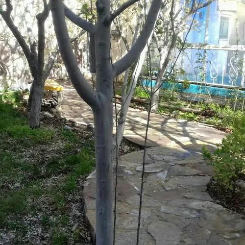 تصویر 2 - ویلا چهار فصل در مشهد