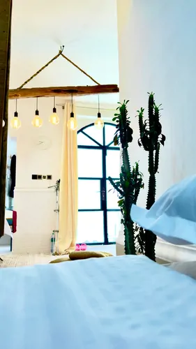 تصویر 7 - ویلا استخردار آبسرد کازا هارمونی در  قشم