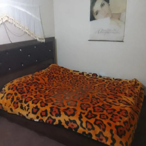 تصویر 5 - خانه نرگس ۱ در  رودسر