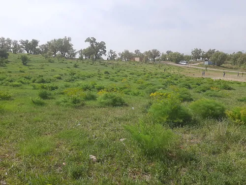 تصویر 16 - خانه مبله کارون  در  ایذه