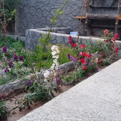 تصویر 2 - ویلا دنج و زیبا در اصفهان